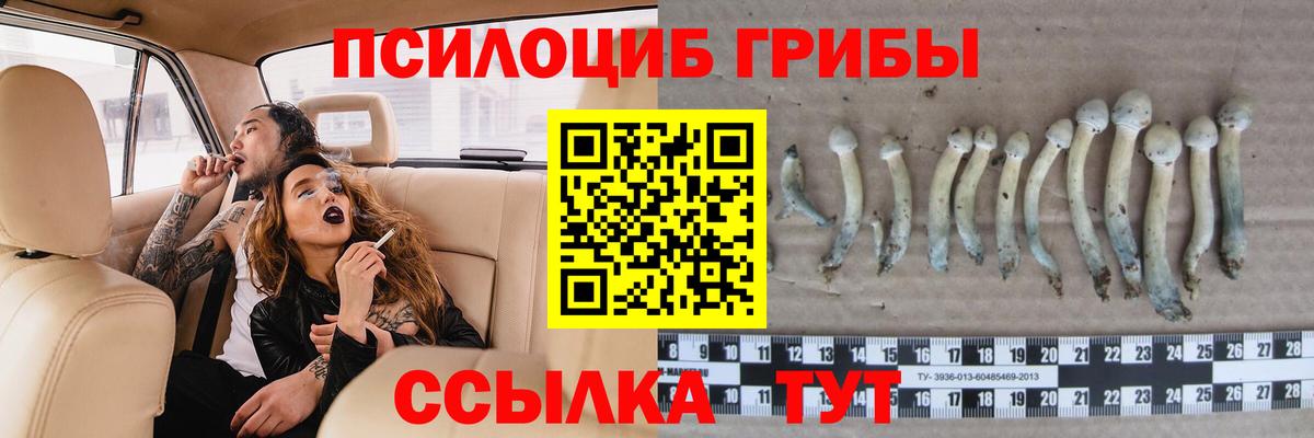 Моздок  Галлюциногенные грибы мухоморы  Вход с VPN 